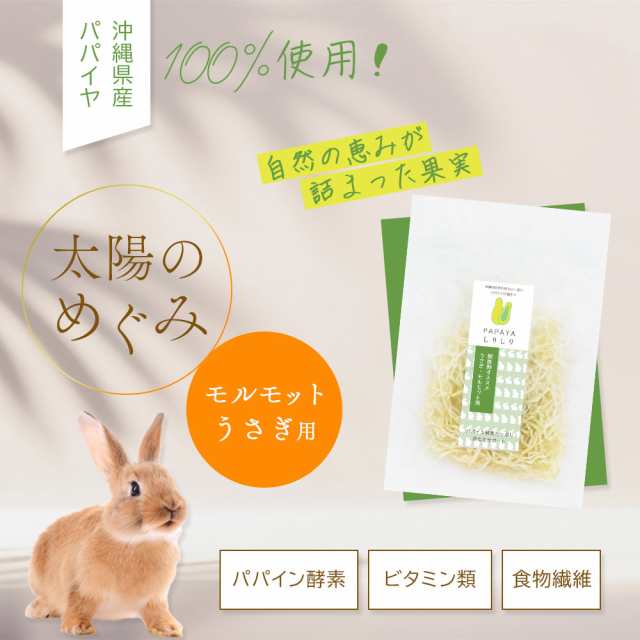 国産　パパイヤ　細切り　１００ｇ　小動物用のおやつ　うさぎ　モルモット　毛球ケア