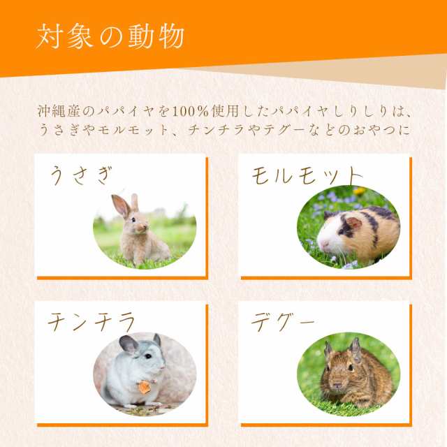 おやつセット うさぎ チンチラ 草食動物 割引発見 - フード・おやつ