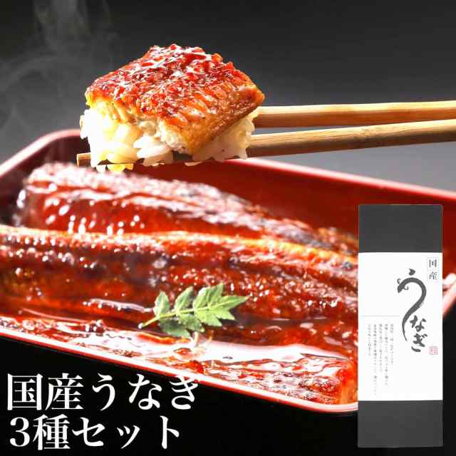 愛知県産 うなぎ蒲焼き3種セット(1尾200gの大サイズ長焼き/半身約50g/刻み50g) タレ付 ギフト 御中元 丑の日 鰻の通販は