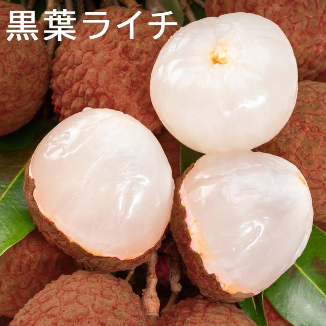 沖縄県産 Freshトロピカルライチ2kg +100g(おまけ) 冷凍 ライチ 1kg 皮付き 黒葉種 トロピカルフルーツ 業務用 冷凍