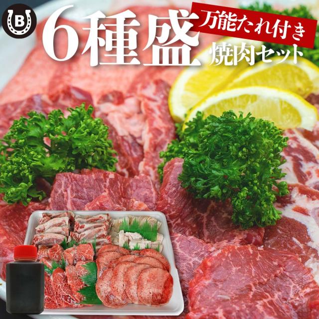 お肉 盛り合わせ 6種 約740g ( 2-3人前 ) ファミリーセット ｜お肉専門店仕入れ｜ 万能タレ付き カルビ テッチャン ハラミ 詰め合わせ