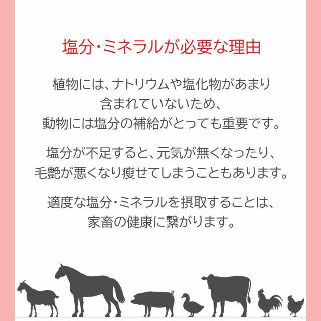 アニマルソルト 動物 用 塩 岩塩 塩分 ミネラル 補給 　ヒマラヤ岩塩取替え用　２個セット　大（ロープ無し）