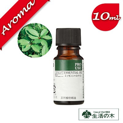 【生活の木】クロモジ 10ml【エッセンシャルオイル｜アロマオイル｜精油｜アロマ｜oil｜香り｜癒し】