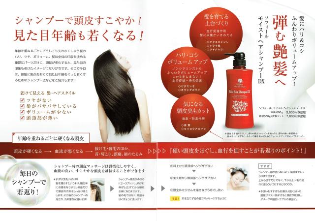 送料無料 1000円クーポンプレゼント 翌日配送 ソフィール モイストヘア