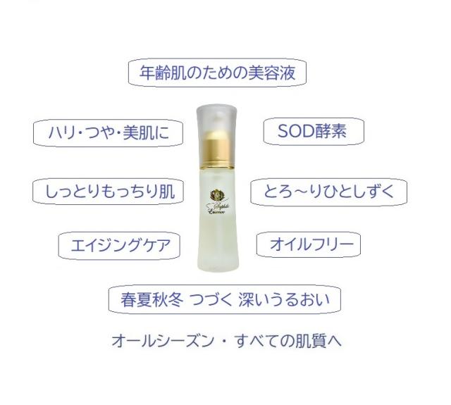 送料無料 正規品 1000円クーポンもらえる 翌日配送 ソフィール化粧品