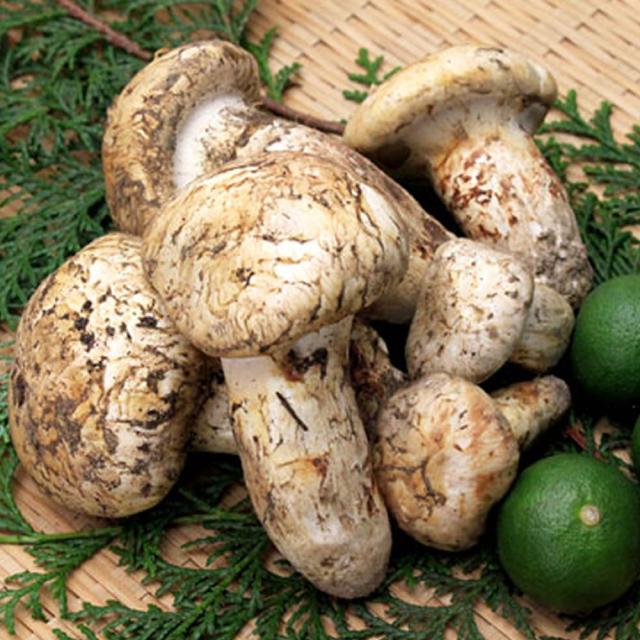 松茸 マツタケ 400g 【公式通販】