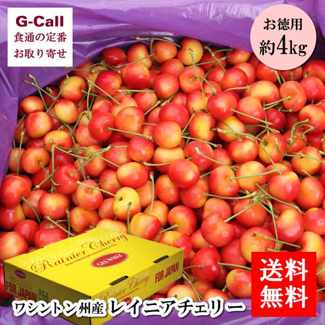 レーニアチェリー4kg ワシントン州産 レイニアチェリー お徳用 約4kg 果物 アメリカ