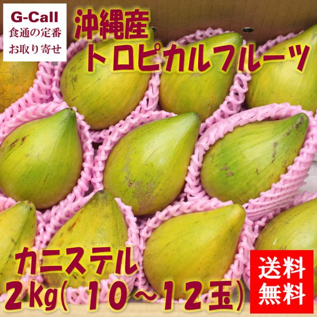 送料無料 沖縄産トロピカルフルーツ カニステル 2kg 10 12玉 の通販はau Pay マーケット G Call 食通の定番 お取り寄せ