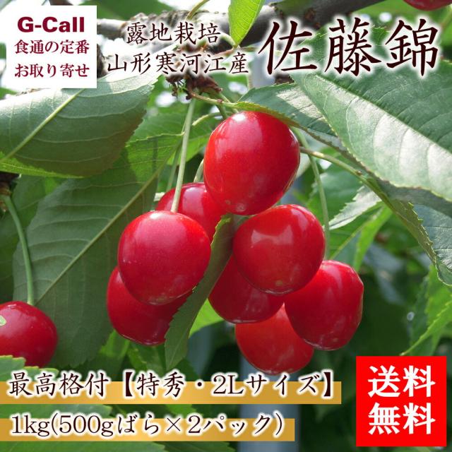 JAさがえ西村山 山形寒河江産 露地栽培 佐藤錦 特秀 2Lサイズ1kg (500g