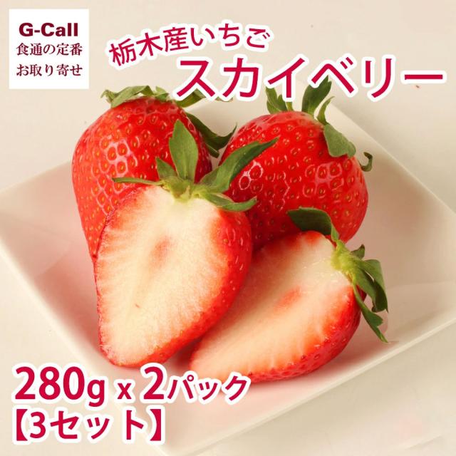 栃木産いちご スカイベリー 280g 2パック 3セット 1月下旬〜4月中旬出荷 指定日不可 北海道・四国・九州・沖縄送料別 大粒 苺 イチゴ フルーツ 旬 高糖度 贈答