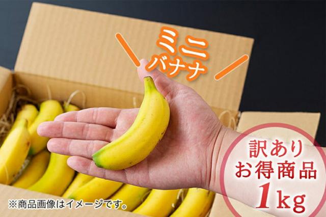 バナナ　問い合わせ　収穫予定 あんつく産バナナ、 #イトコオイメイ🍌初めての収穫体験✨ 甘