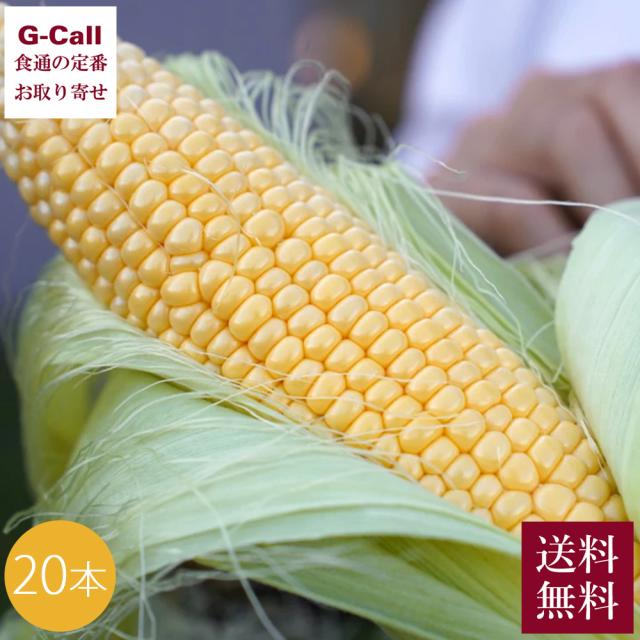 Inakakara Farm to Table 山梨県 富士河口湖町産 とうもろこし 恵味ゴールド 20本 7月中旬〜8月中旬発送 指定日不可 沖縄・離島お届け不可 送料無料 産地直送