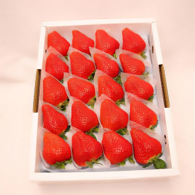 徳島佐那河内村特産 さくらももいちご 20粒 1月上旬から4月中旬発送 送料無料 お取り寄せ 国産 フルーツ 果物 いちご イチゴ 大きい 甘い 高糖度 産地直送の通販は