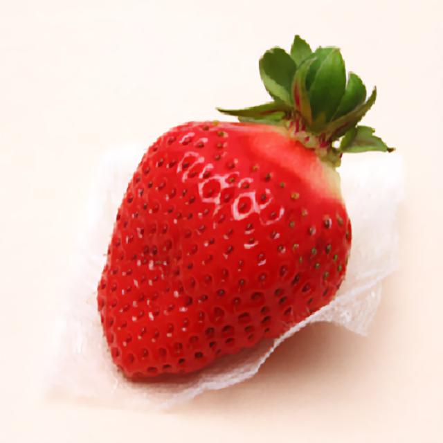 徳島佐那河内村特産 さくらももいちご 20粒 1月上旬から4月中旬発送 送料無料 お取り寄せ 国産 フルーツ 果物 いちご イチゴ 大きい 甘い 高糖度 産地直送の通販は