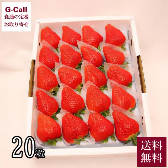 徳島佐那河内村特産 さくらももいちご 20粒 1月上旬から4月中旬発送 送料無料 お取り寄せ 国産 フルーツ 果物 いちご イチゴ 大きい 甘い 高糖度 産地直送の通販はいちご