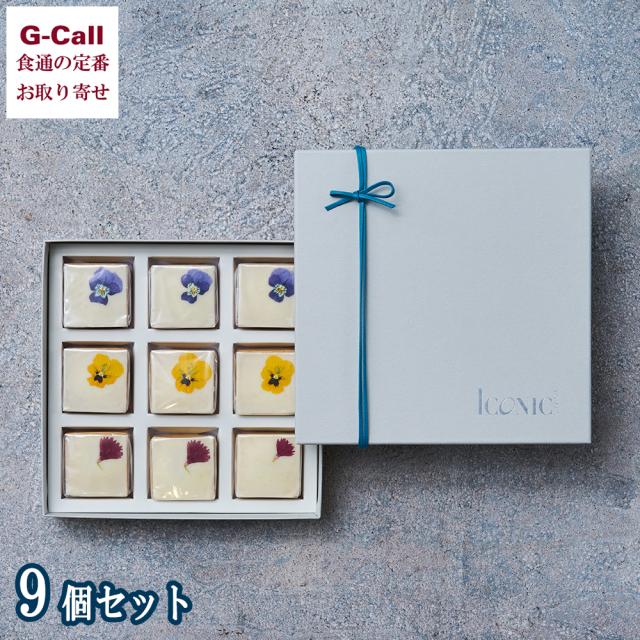 ICONIC STAGE キューブケーキ 箱入り 9個セット 北海道・四国/九州・沖縄送料別 洋菓子 焼菓子 ケーキ エディブルフラワー ジョビア 生産者直送 贈答 お取り寄せの通販は