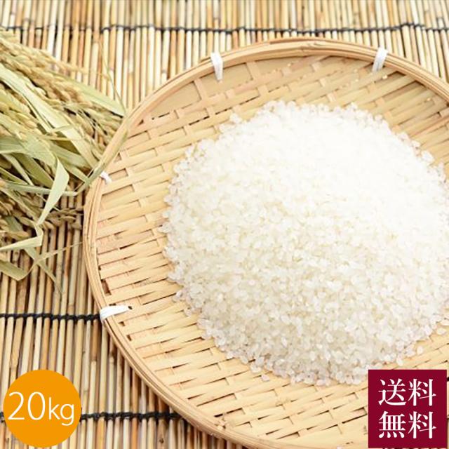 あづみのうか浅川 令和7年産 浅川さんちのお米 プレミアム 20kg 5?×4個 送料無料 お米 白米 精米 ごはん ご飯 粒ぞろい 特別栽培米 長野県 安曇野 お取り寄せ