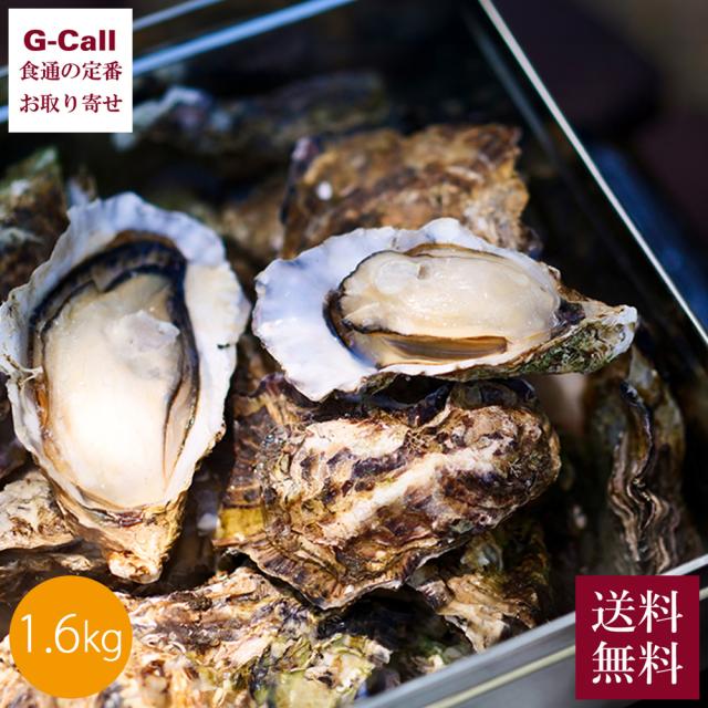 JF広島漁連 広島牡蠣のカンカン焼き 1.6kg 12〜20個 送料無料 広島県産 軍手 ナイフ付 牡蠣 カキ かき 殻付き シーフード 魚介 産地直送 お取り寄せ BBQ