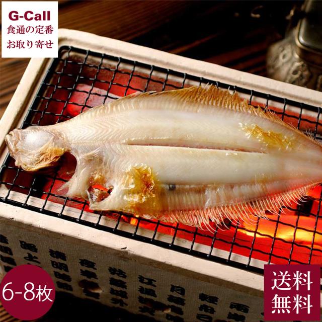 若狭小浜 丸海 小浜海産物 若狭かれい 6〜8枚 指定日不可 送料無料 皇室献上品 カレイ 一夜干し 干物 かれい 生産者直送 お取り寄せ 地域ブランド 柳むしかれい