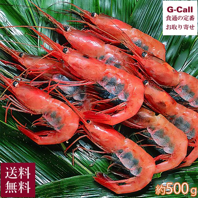 ＪＦ福井漁連 船内凍結甘えび 大サイズ 子持ち 約500g 約30匹 送料無料 冷凍 海老 甘エビ 甘えび エビ ミソ 海鮮 瞬間凍結 福井県 産地直送 お取り寄せ