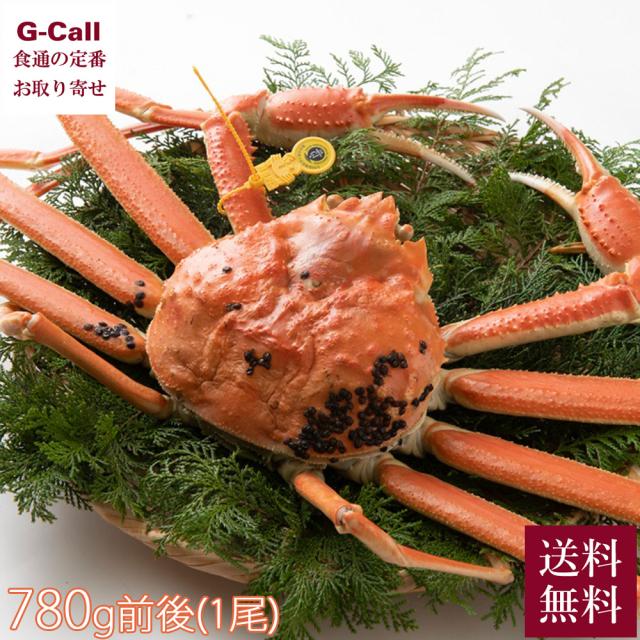 【指定日必須】 JF福井漁連 越前がに 780g前後 1尾 11月中旬から3月下旬頃出荷 送料無料 蟹 カニ 魚介 越前ガニ かに 福井県 ズワイガニ ずわいがに 産地直送