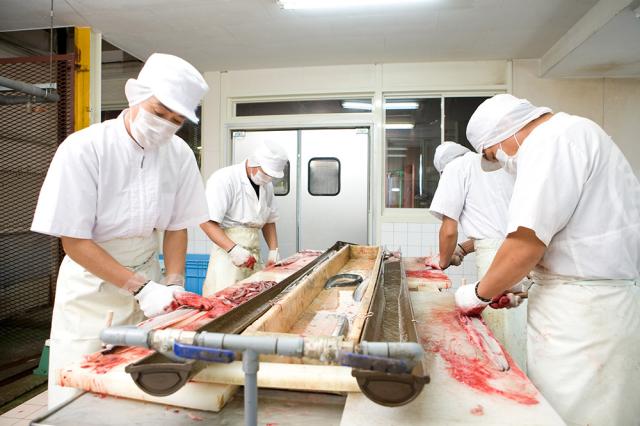 四万十うなぎ 蒲焼 3尾セット 北海道・沖縄送料別 ウナギ 鰻 魚介類 無添加タレ 秘伝のタレ 四万十川 炭火 丑の日 惣菜 贈り物 ギフト メーカー直送 お取り寄せ_12