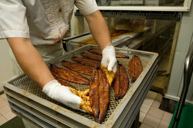四万十うなぎ 蒲焼 3尾セット 北海道・沖縄送料別 ウナギ 鰻 魚介類 無添加タレ 秘伝のタレ 四万十川 炭火 丑の日 惣菜 贈り物 ギフト メーカー直送 お取り寄せ_6