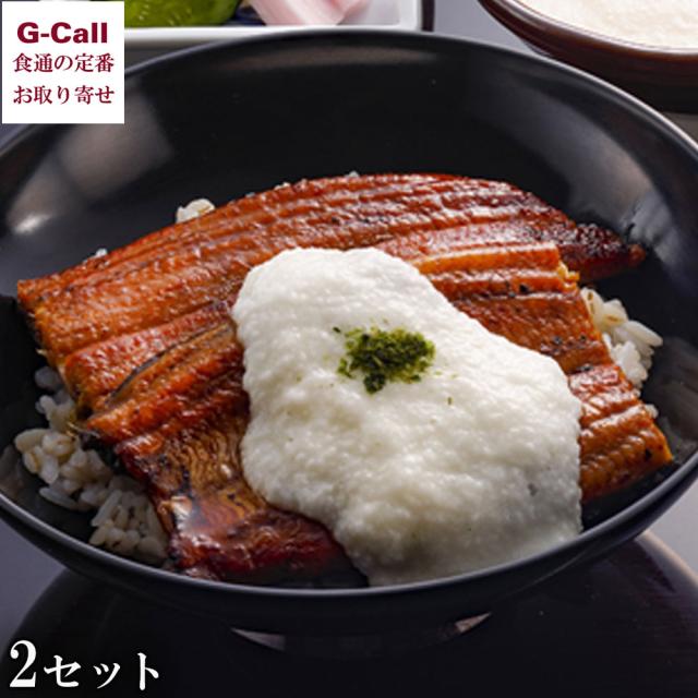 浅草むぎとろ うなとろセット 北海道/四国/九州・沖縄送料別 ギフト 浅草 むぎとろ とろろ 御祝 お中元 お歳暮 丑の日 うなぎ 鰻 ウナギ 山芋 生産者直送の通販は