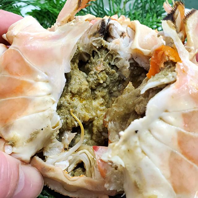 山米鮮魚 極上の純粋 かにみそ 120g 1本 北海道/東北・沖縄送料別 蟹 カニ かに カニミソ 松葉ガニ お手軽 おかず 惣菜 兵庫県 お取り寄せ 生産者直送 ギフト_1