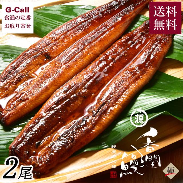 甲佐養鰻場 熊本産 甲佐うなぎ 極 総重量 460g 2尾 送料無料 蒲焼き 100% 国産 うなぎ 鰻 ウナギ 総菜 和風総菜 熊本産 お取り寄せ 贈答 ギフト 産地直送