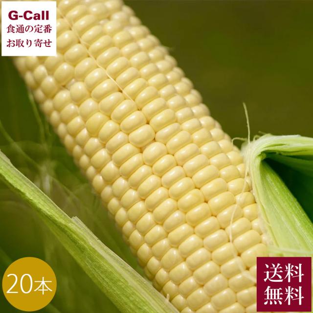 Inakakara Farm to Table 山梨県 甲府市特産 とうもろこし きみひめ 20本 6月上旬から6月下旬出荷 指定日不可 沖縄・離島お届け不可 送料無料 産地直送 高糖度