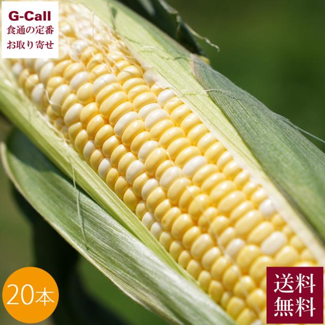 Inakakara - Farm to Table - 山梨県産 極甘とうもろこし 甘々娘 20本 6月中旬〜6月下旬出荷 送料無料 かんかん娘 とうもろこし フルーツコーン 産地直送