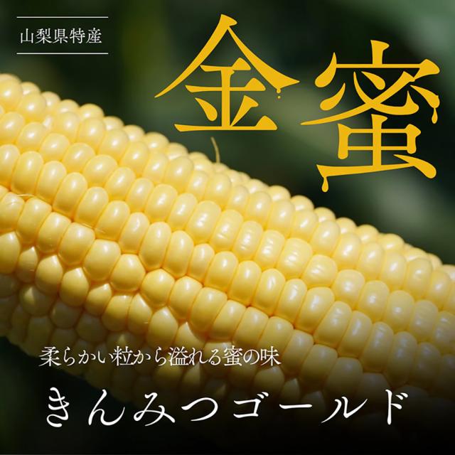 Inakakara Farm to Table 山梨県産とうもろこし 金蜜ゴールド 20本 5月下旬〜8月中旬発送 指定日不可 沖縄・離島お届け不可 送料無料 産地直送 高糖度 コーン_8