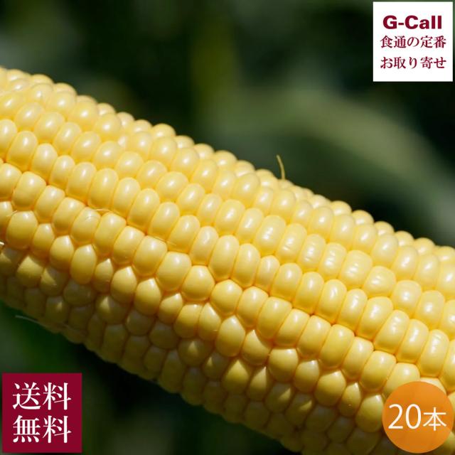Inakakara Farm to Table 山梨県産とうもろこし 金蜜ゴールド 20本 5月下旬〜8月中旬発送 指定日不可 沖縄・離島お届け不可 送料無料 産地直送 高糖度 コーン