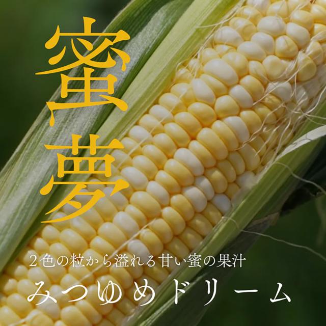 265658096_4