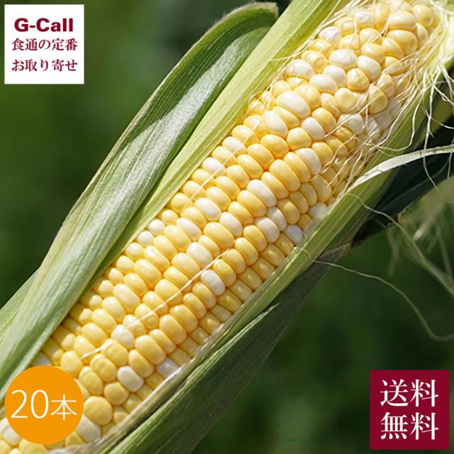 Inakakara Farm to Table 山梨県産 みつゆめドリーム 20本 5月下旬から8月中旬頃出荷 指定日不可 沖縄・離島お届け不可 送料無料 とうもろこし 産地直送 特選品