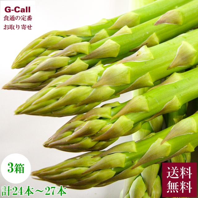 JA島原雲仙 長崎県産 王様アスパラ 8〜9本入 ×3箱 計24本〜27本 2月中旬〜3月上旬出荷 指定日不可 送料無料 野菜 アスパラガス 極太 アスパラ 旬 島原 産地直送