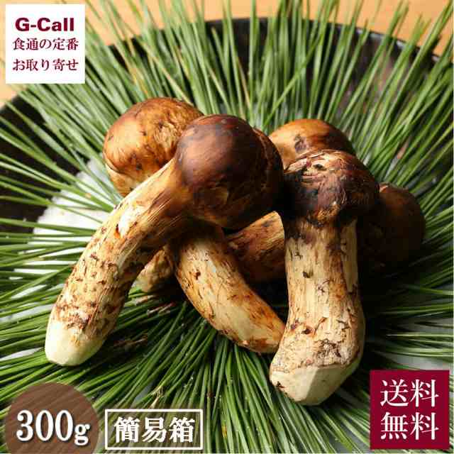 ブータン松茸 300g 約6〜8本 簡易箱 送料無料 まつたけ 天然 野菜