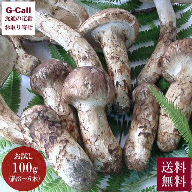 天助 国産 まつたけ お試し100g 約3〜6本 9月中旬から10月下旬頃出荷 指定日不可 送料無料 松茸 マツタケ きのこ 高級 つぼみ松茸 スダチ付き 補償付き 土瓶蒸し