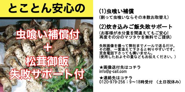 天助 国産 まつたけ お試し100g 約3〜6本 9月中旬から10月下旬頃出荷 指定日不可 送料無料 松茸 マツタケ きのこ 高級 つぼみ松茸 スダチ付き 補償付き 土瓶蒸し_8