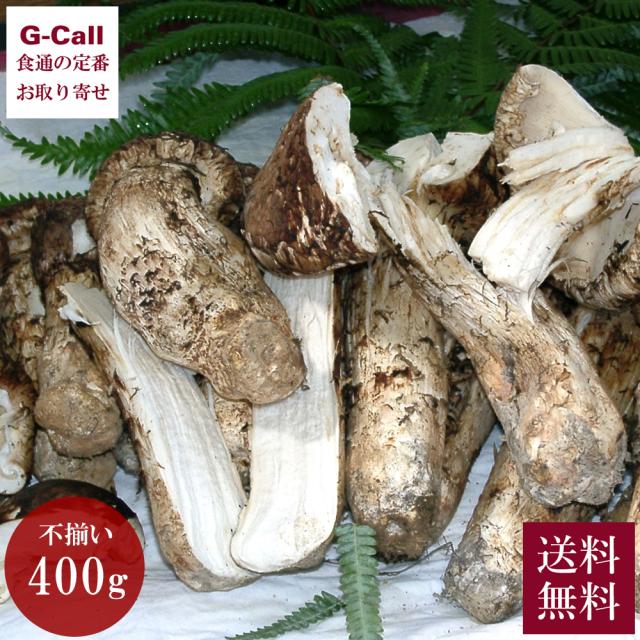 G.H.BASS ジーエイチバス　 ローファー 2025年最新】レプトンの人気アイテム - メルカリ