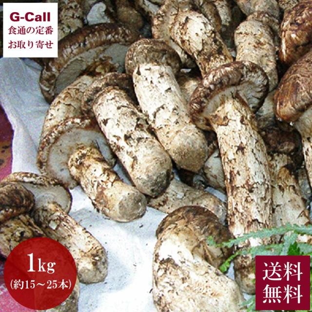 中国産 松茸 約1kg まつたけ マツタケ（中国産 松茸 約1kg