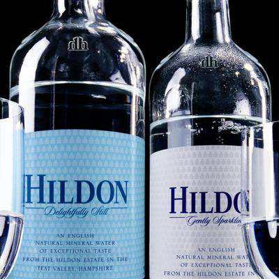 ヒルドン ナチュラル・ミネラルウォーター ジェントリー・スパークリング 発泡 500ml×24本 送料無料 HILDON WATER 炭酸水 イギリス  中硬水の通販はau PAY マーケット - G-Call 食通の定番 お取り寄せ | au PAY マーケット－通販サイト