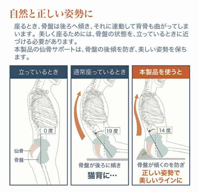 丸菱工業 仙骨サポート座布団 尻楽クッション モカ 送料無料 - キムチ