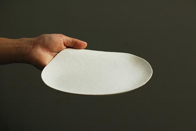 WASARA 紙の器 丸皿 大 100枚 送料無料 皿 紙皿 和皿 おもてなし お取り寄せ 環境保護 ワサラ おしゃれ 植物繊維 コンポスタブル 食器_3