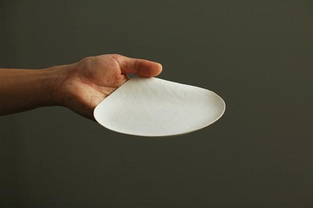 WASARA 紙の器 丸皿 中 100枚 送料無料 皿 紙皿 和皿 おもてなし おもてなし皿 環境保護 おしゃれ 植物繊維 ワサラ お取り寄せ おしゃれ 使い捨て シンプル_3