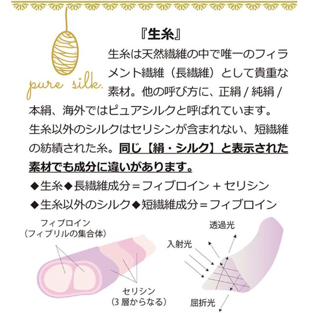 ピュアシルク スリップ Mサイズ 2色 シーズ・ルネス 指定日不可 送料