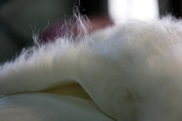 The PREMIUM Sofwool 2 掛け毛布 ダブル 送料無料 ソフゥール ディーブレス 毛布 オーストラリア産 ウール 極上 天然 至福 暖かい 肌座り 上質 メーカー直送