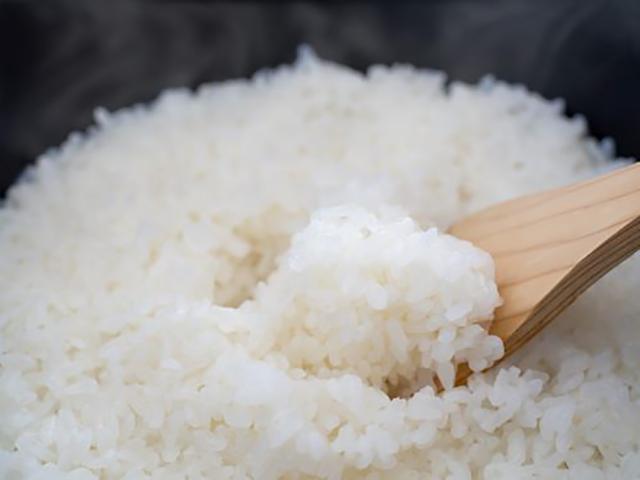 奥出雲NAORAI 令和7年産 大馬木産 なおらい米 真空パック 4kg 2kg×2個 送料無料 米 ごはん 白米 島根 仁多米 希少 産地直送_2