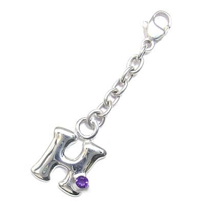 スワロフスキー Swarovski Chroma フープピアス 5600894